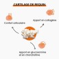 Cartilage de Requin - Confort Articulaire Cartilage de Requin - Confort Articulaire
