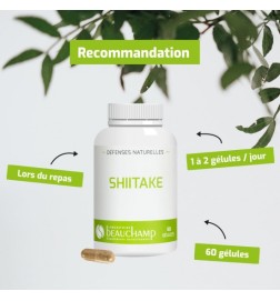 Shiitake Bio | Extrait Titré 20% Polysaccharides | Viapure