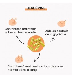 Berbérine | Extrait Titré 95% | Contrôle Glycémique | Viapure
